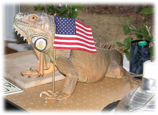 Photo of Pugsley, the official mascot of Reptilecare.com
